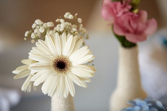 Como economizar na festa de casamento ? Como economizar na festa de casamento ?